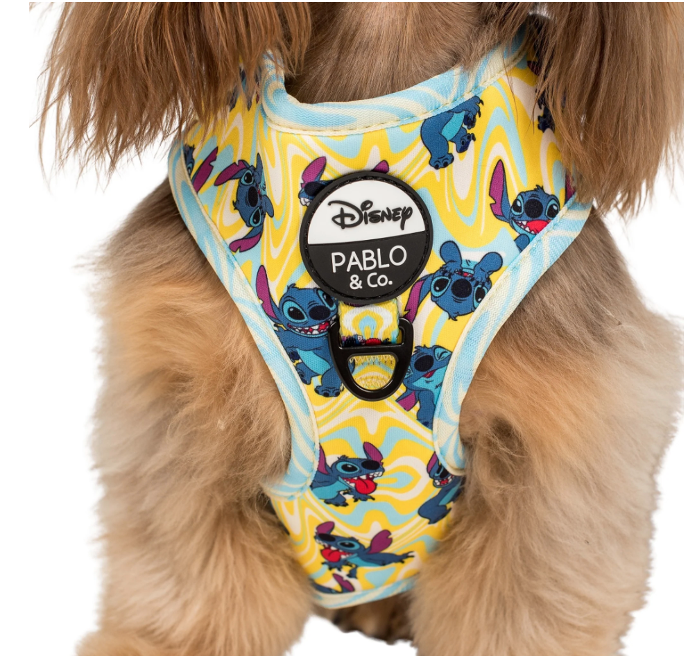 Psychedelic Stitch Adjustable Harness by Pablo and Co