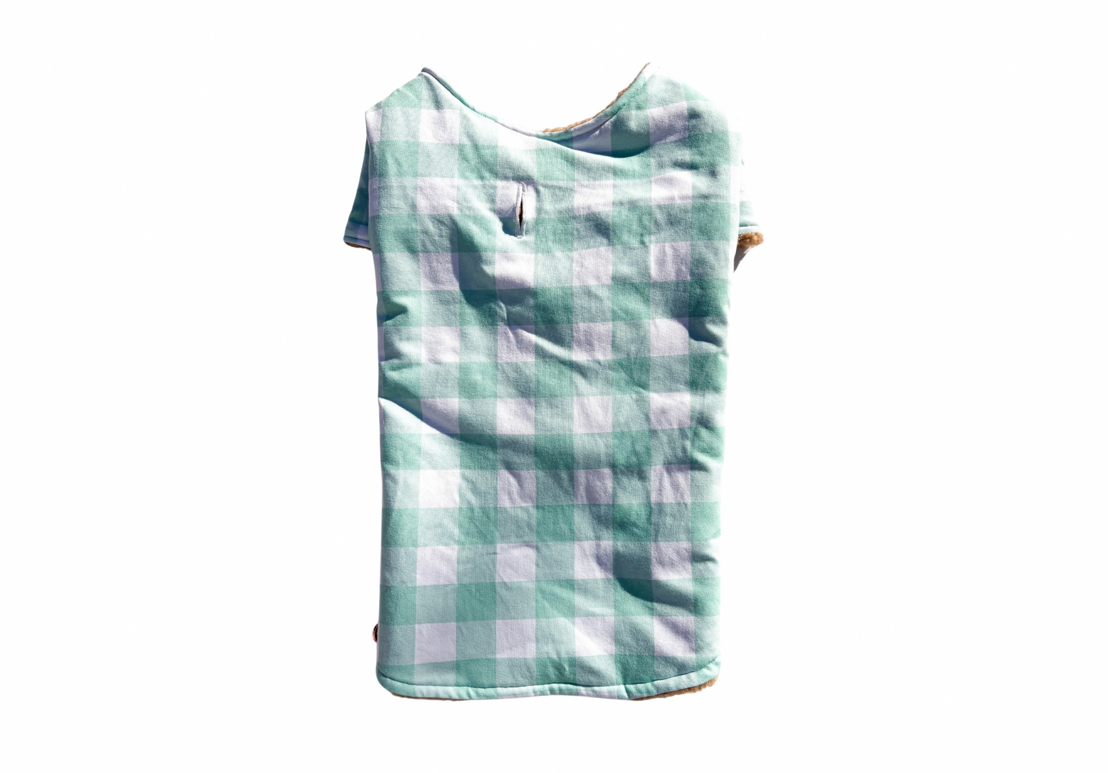 Mint Green Gingham Dog Jacket