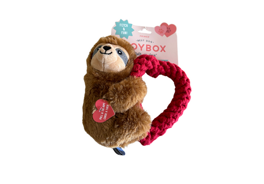 Heart Valentines Day Sloth