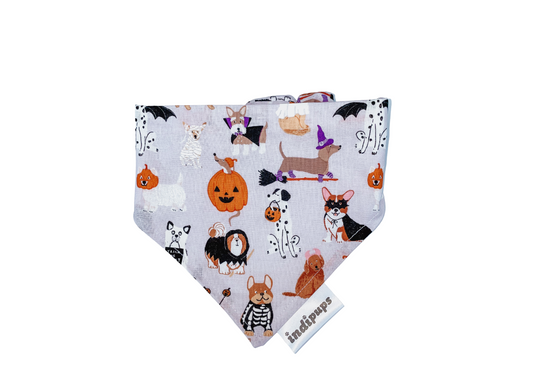 Halloween Treats ScrunchdanaDog Apparel