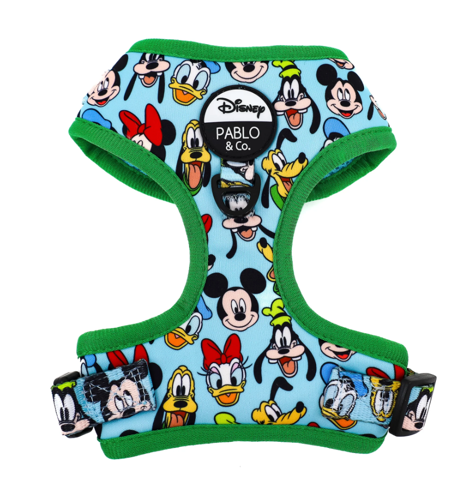 Mickey and Friends Blue Harness by Pablo and CoHarness