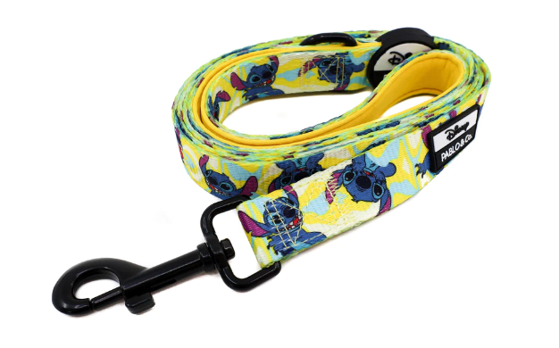 Psychedelic Stitch Leash by Pablo and CoLead
