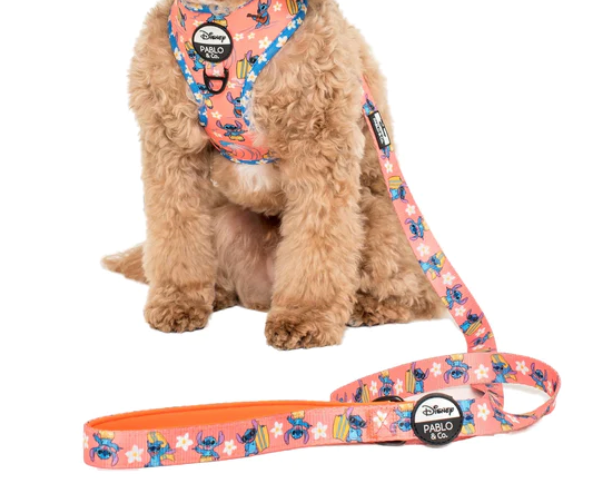 Surf Stitch Leash by Pablo and CoLead