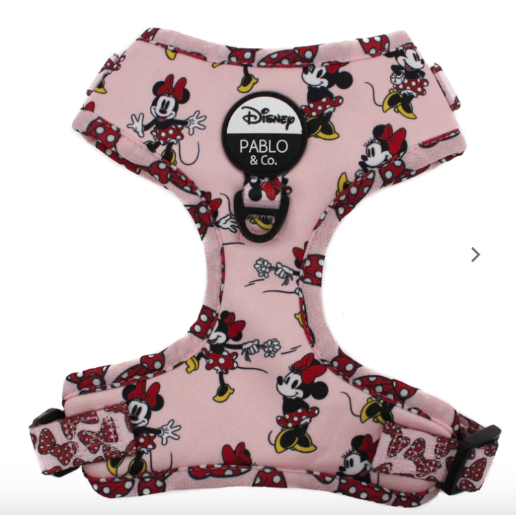 Minnie mouse Harness by Pablo and CoHarness
