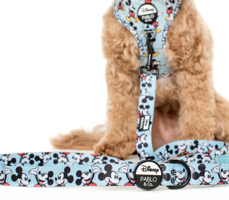 Mickey Mouse Blue Leash by Pablo and CoLead