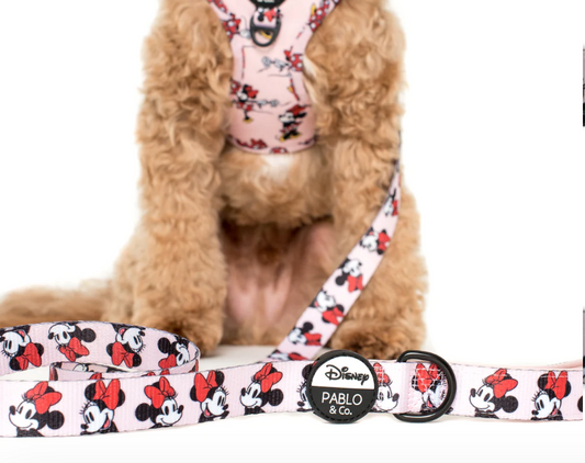 Minnie Mouse Pink Leash by Pablo and CoLead