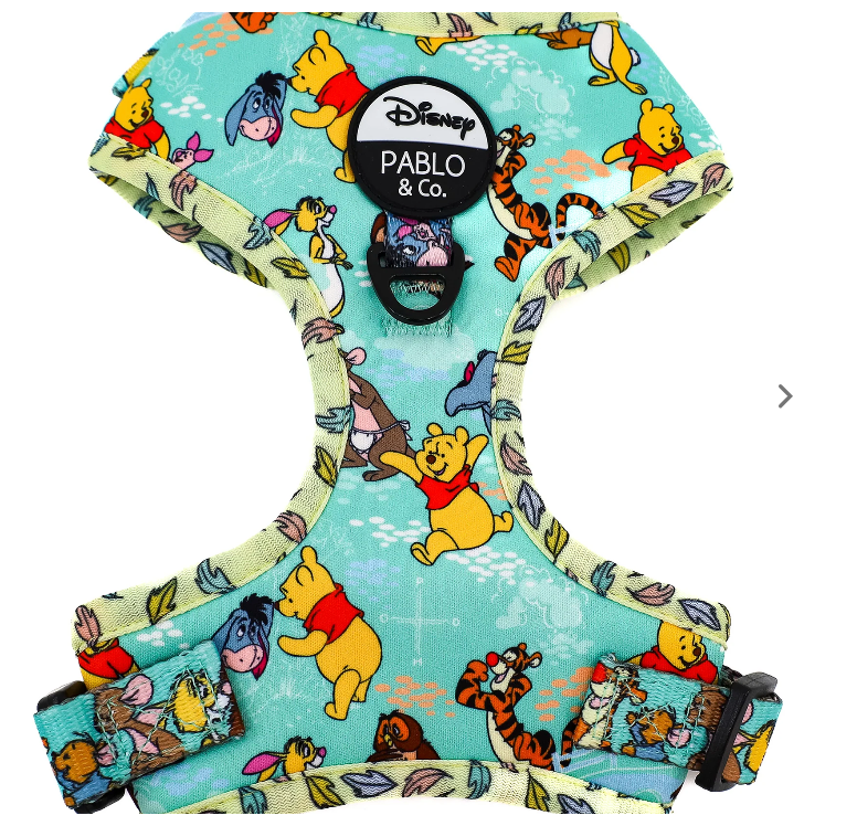 Winnie the Pooh Harness by Pablo and CoHarness