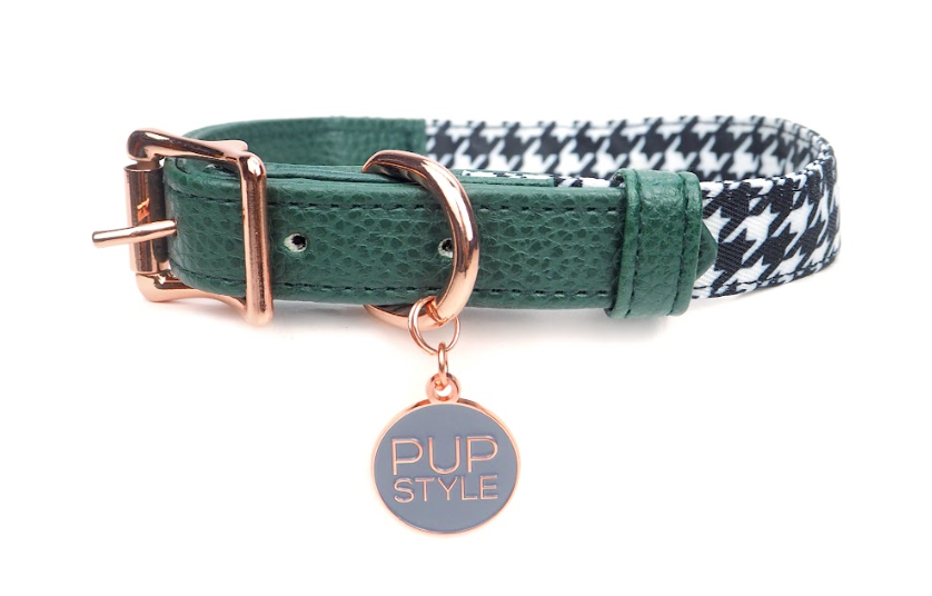 Emerald Envy Collar by Pupstyle Store