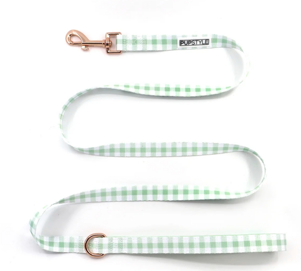 Sweet Apple Leash by Pupstyle StoreDog Apparel