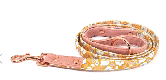 Summer Fling Leash by Pupstyle Storewalk wear