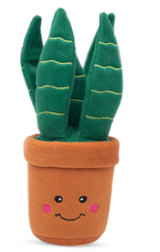 Snake Plant Dog Toy