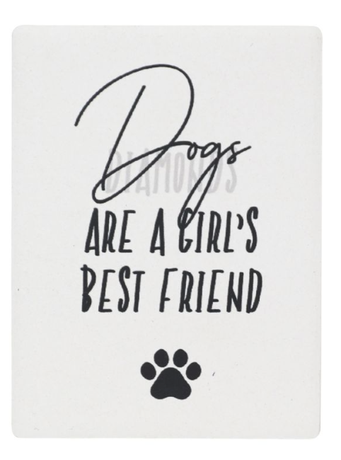 Dog and Cat Magnets - Indi Pups