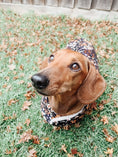Load image into Gallery viewer, Winter Blooms Dachsund Dog JacketDog Apparel

