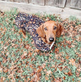 Load image into Gallery viewer, Floral Fields Dog JacketDog Jackets
