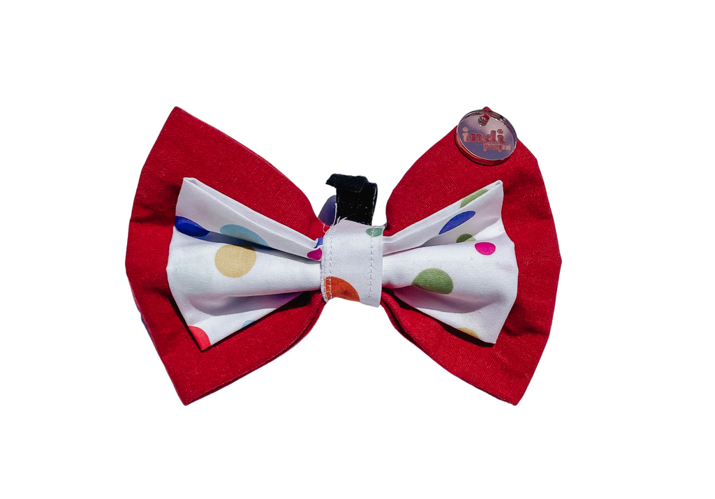 Double Layer Dog BowtieBowties